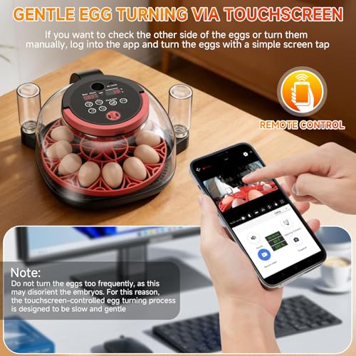 https://m.media-amazon.com/images/I/51xhVCPOyAL.jpg