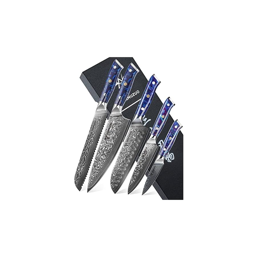 Chef Cooking Knives Set- Kitchen Knife Set of 5 Piece - Ultra-Sharp VG10 Damascus Steel & Resin Handle - Xuan Series (Sapphire Blue)