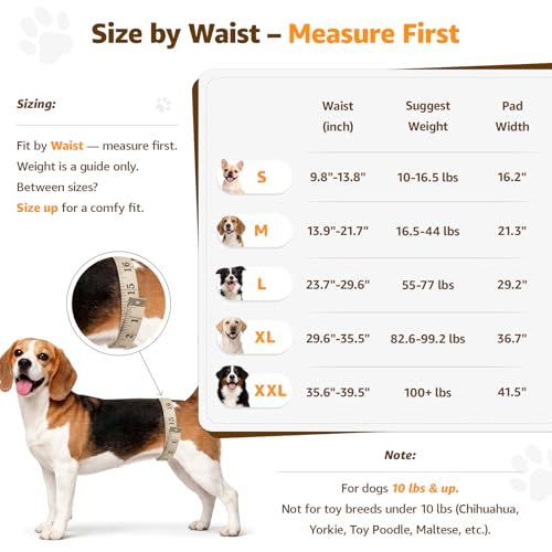 Image of Adjustable Dog Lift Harness Dog Sling for Large Dogs Hind Leg Support Soft Lift Support for Weak Rear Legs, Helps Senior, Injured, Disabled, After ACL Surgery Dogs (Grey&Grey, Medium)