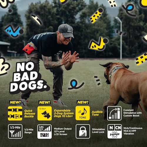 Image of Dogtra E-Collar Tom Davis 280C 2.0 [2025 Edition], Boost & Lock, Waterproof, 1 /2-Mile Range Dog Training Collar with Remote, Rechargeable, 127 Levels, Vibration, Bungee, No Bad Dogs Trainers