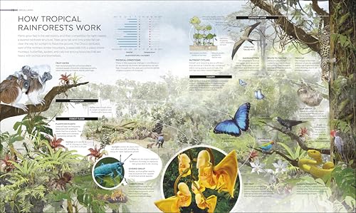 Habitats: Discover Earth's Precious Wild Places - Image 2