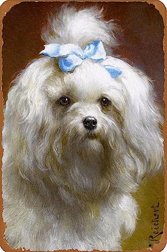 AJ AeB[N Ŕ̃uLŔ 20X30cm zbLNNWƃ}^̌qqBe[WA[gvg Be[W uL Ŕ AJ W 20X30cm