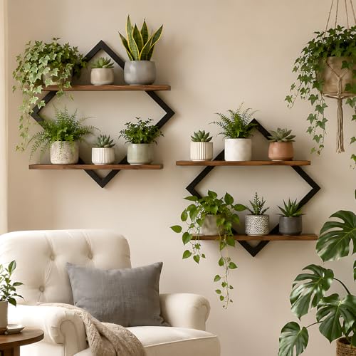 Hoolicute 2 Pack Floating Wall Shelves Plant Holders Brown