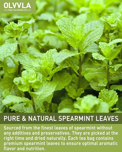 Image of Olvvla - Spearmint Tea Bags - 1.5g X 50 Count - 100% Pure Natural Spearmint Leaves Herbal Tea - Non-GMO - Caffeine-free - Rich in Antioxidants & Promote Relaxation