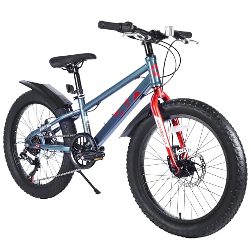 BALINGE Mountain Bike 20 Inch, 3
