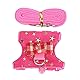 Cikonielf Eichhörnchen Weste Geschirr Kleintier Geschirr und Leine Set Rosa S (14-17 cm/5.5-6.7 inch) Sicherheit, Einfachheit im Handling und Komfort für das Tier