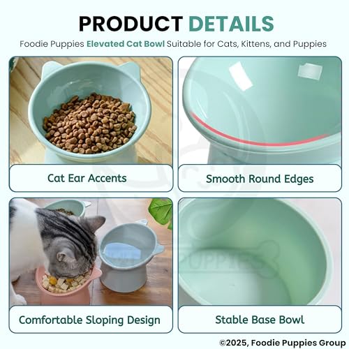 Foodie Puppies Store Foodie Puppies Elevated Cat Bowl Feeder Pack of 2 - Image 5