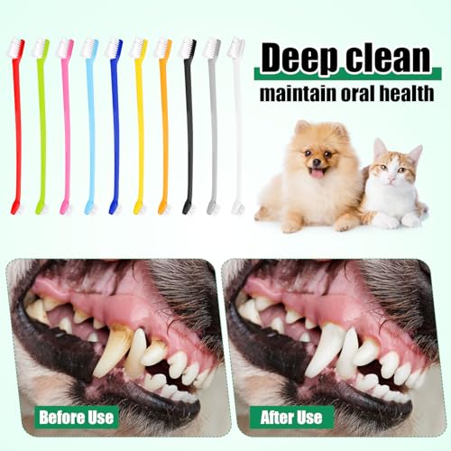 Image of XIHIRCD 100pcs Dog Toothbrush Bulk, Dual Headed Soft Bristles Toothbrush Anti-Slip Cat Teeth Brush Easy Teeth Cleaning Dental Care Pet Toothbrush for Small and Large Dogs Cats Most Pets (10 Colors)