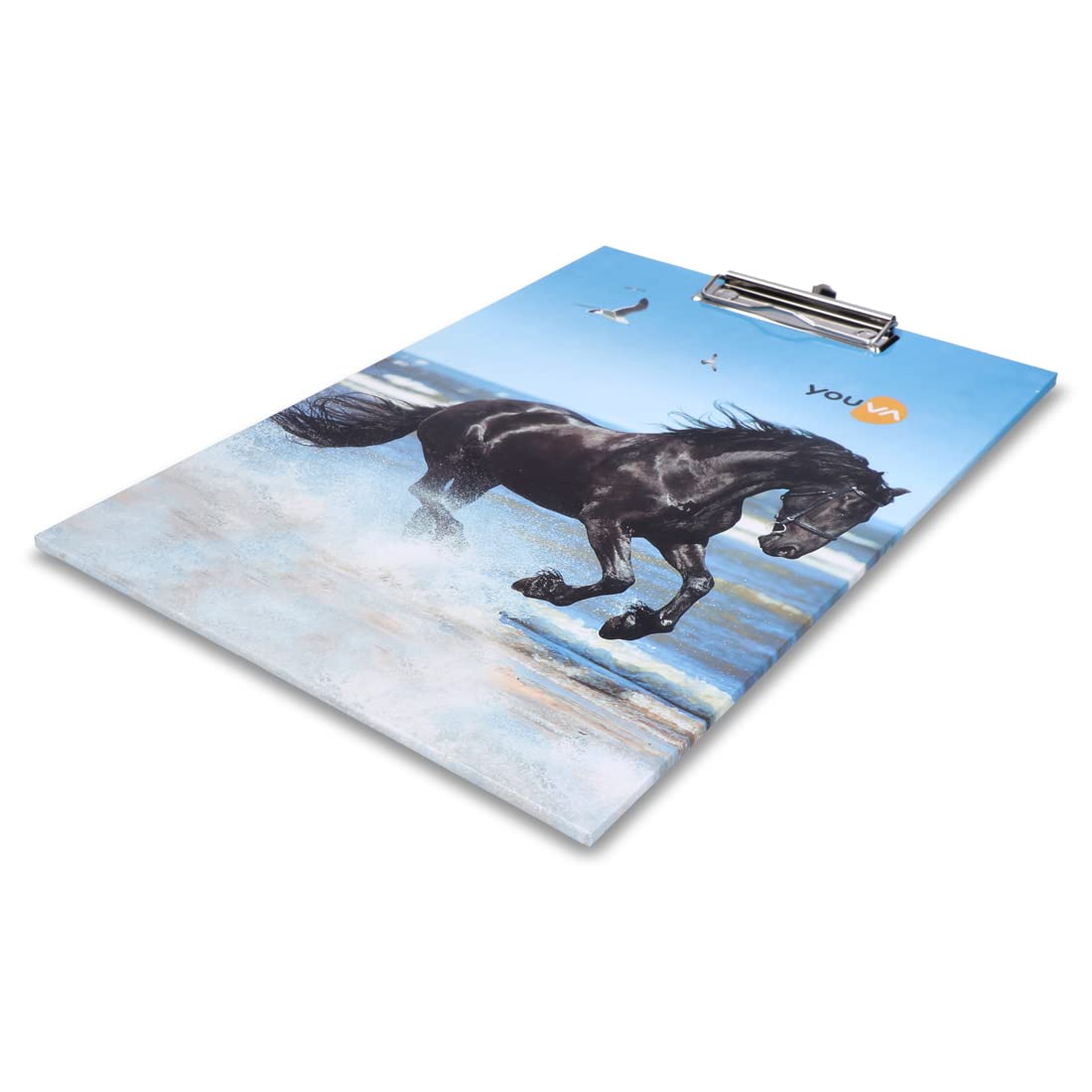 Navneet Youva Tablica do egzaminów regularnych dla studentów, tablica z klipsem, rozmiar Foolscap - 24 cm x 34,5 cm, 12 sztuk