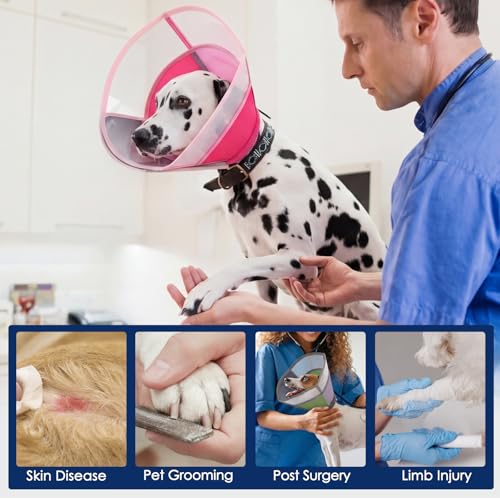 Image of KOESON Soft Medium Dog Cone Collar After Surgery to Stop Licking