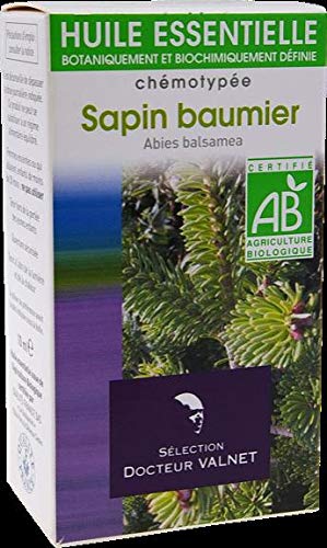 Sapin Baumier