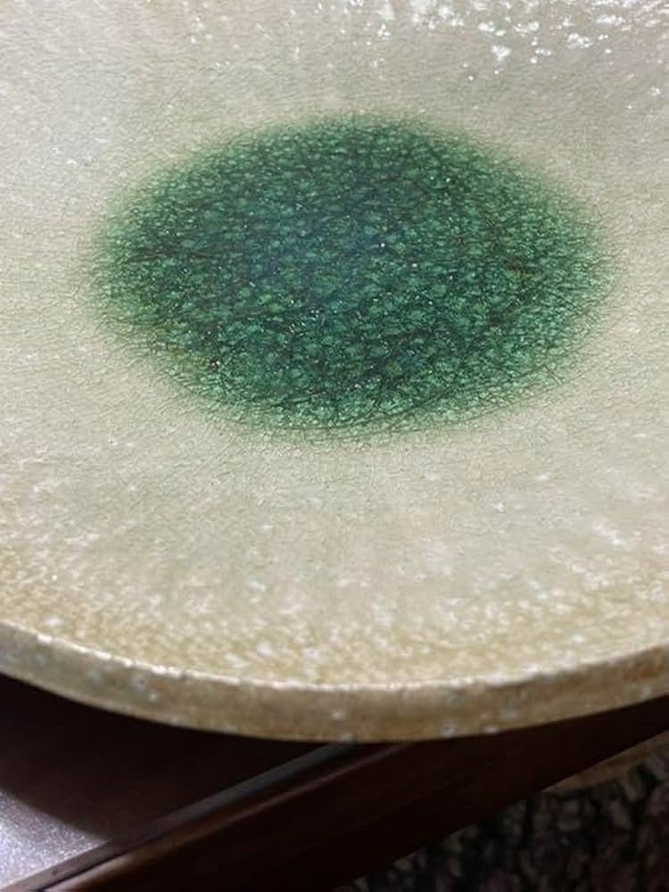 伊賀焼 名工 恒岡 光興 の大きな器 (常山窯) 未使用品 Amazon.co.jp: 伊賀焼 名工 恒岡 光興 の大きな器 (常山窯) 品