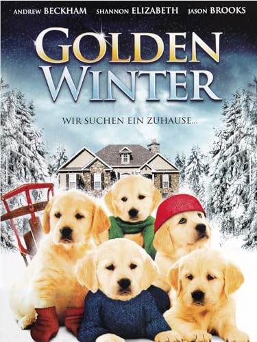 Golden Winter - Wir suchen ein Zuhause