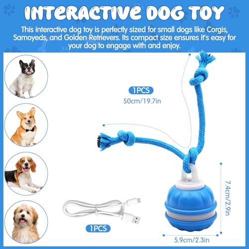 Interaktives Hundespielzeug, Interaktiver Spielball für Hunde mit LED-Lichtern, 3 Spielmodi, Hundeball Elektrisch mit Seil & Bellen, TYPE-C Aufladbar, Hundespielball für Kleine Mittlere Große Hunde