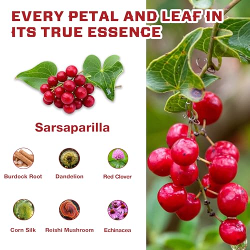 Image of VailHerbTea Sarsaparilla Root Tea Bags - 50 Count, Handcraft Herbal Tea for Detox Cleanse Support, Natural Formula w /Echinacea & Dandelion for Urinary & Immune System - Caffeine-Free, Mild Taste Tea.