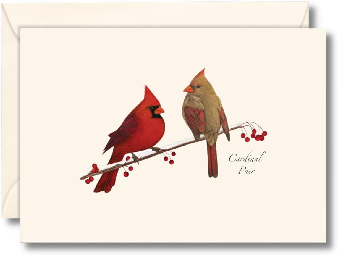 Earth Sky + Water - Cardinal Pair Notecard Set - 8 Blank Cards with Envelopes