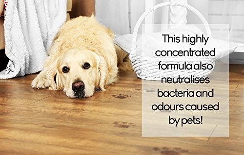 Pro Kleen 5 Litres Steam Detergent Ocean Fresh Fragrance For Steam Mops + Built In Water Softener … (5 Litre Ocean Steam) - Image 4