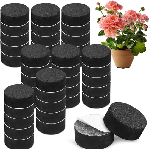 Novastream 40 Pack EVA Foam Plant Pot Feet Feet for Garden Pots Pot Feet for Outdoor Plant Pots Black 3x1cm Discs Prevent Patio Staining Improve Drainage & Enhance Outdoor Decor