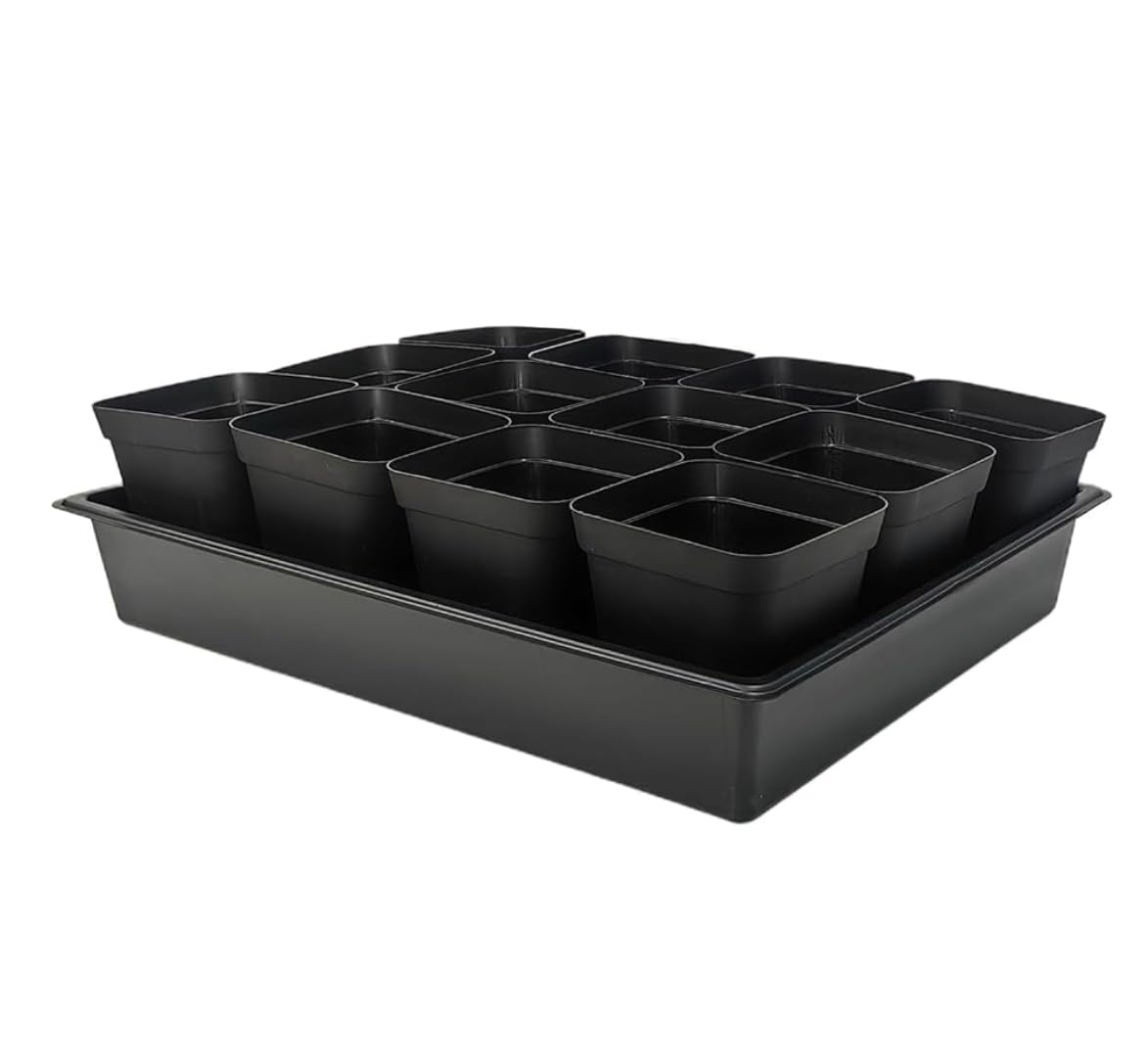 RooTrimmer 3.5 inch (9CM) Square Nursery Pots 60pcs, Sturdy Seedlings Trays 5 Pcs, Seeds Starter Germination Tray, Microgreenings Planter Nursery Propagation 5 Sets