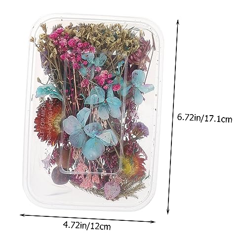 Kit mini flores secas delicadas para manualidades miniatura 2