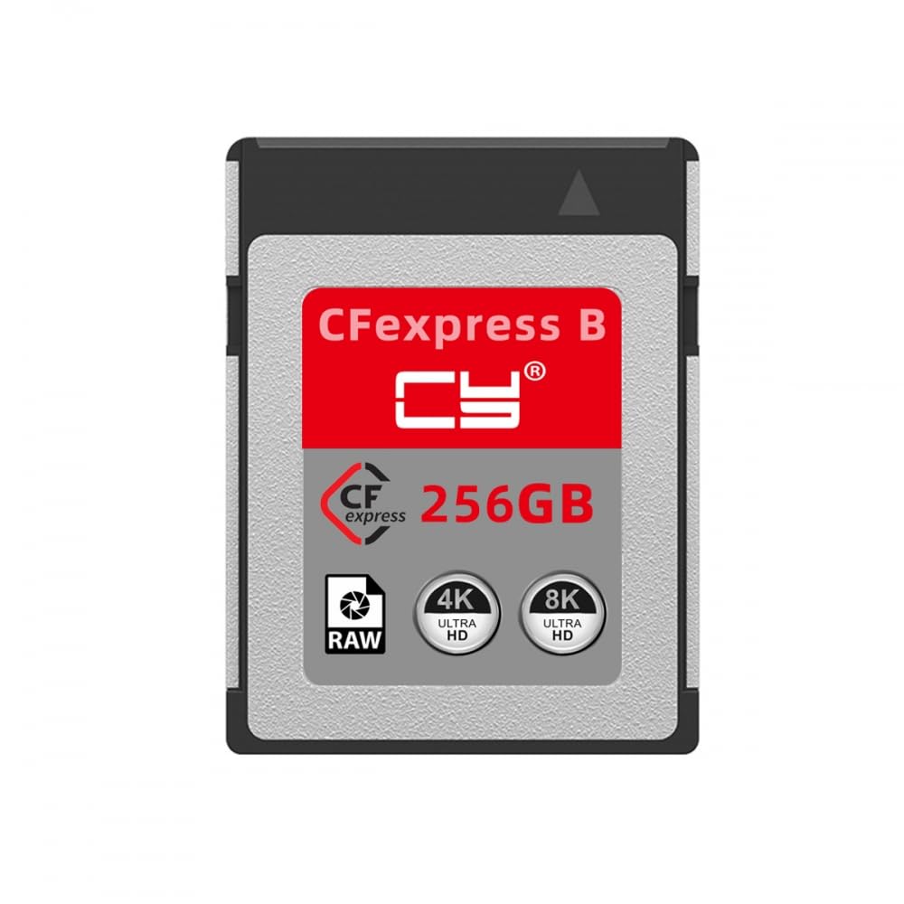 CY Scheda di memoria CFexpress tipo B Adattatore CFE CFB da 256 GB compatibile con l'estensione PCIe per fotocamera RAW 8K
