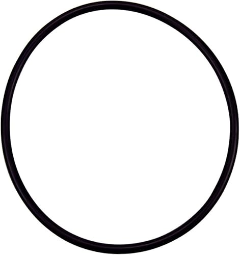 Pentair 355227 Buna N 70 - Bomba enterrada de repuesto para piscina y spa