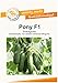 Produktbild Pony F1 Snackgurkensamen von bobby-seeds Portion