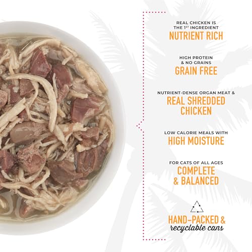 Image of Tiki Cat After Dark, Chicken & Lamb, High-Protein and 100% Non-GMO Ingredients, Wet Cat Food for Adult Cats, 2.8 oz. Can (12 Count)