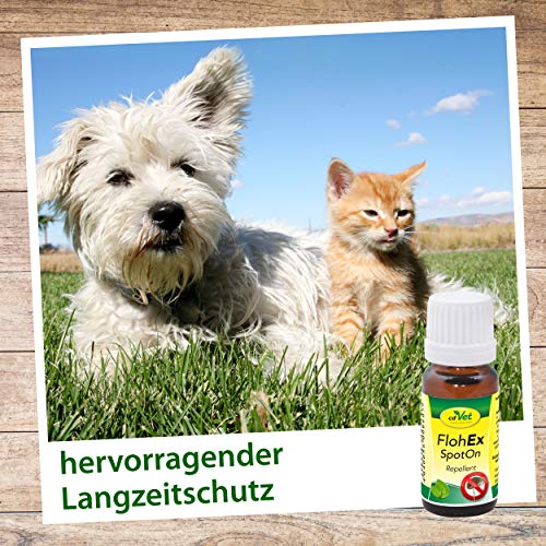 cdVet FlohEx SpotOn - Pflegeöl zur Geruchsmaskierung gegen Flöhe