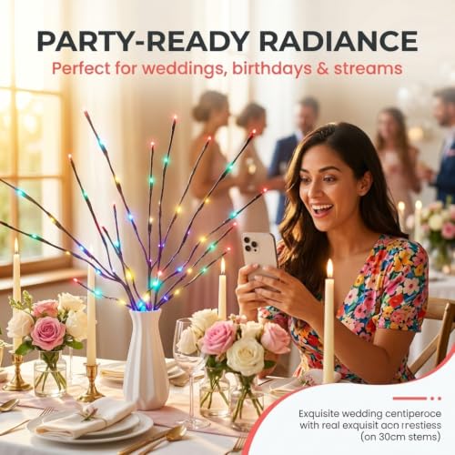 Image of DK177 4 Pack Multicolor Light LED Lighted Branches Battery Operated Lights