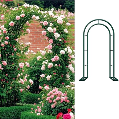 Support de base pour plantes grimpantes et décorations de fête - 4