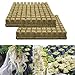 Produktbild gshhd0 Gartenarbeit Rockwool, Rock Wolle Würfel, Hydrokultur Würfel Tablett, Wachsen Blatt Block Rockwool Würfel Soilless, Hydroponisch Rockwool Blatt Block Vermehrungsgut Klon - 50pcs, Free Size