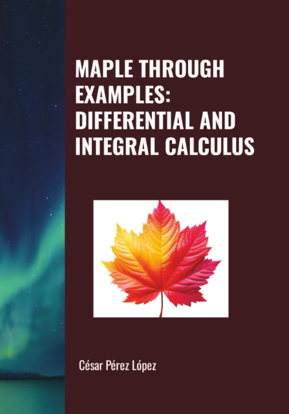 MAPLE THROUGH EXAMPLES: DIFFERENTIAL AND INTEGRAL CALCULUS