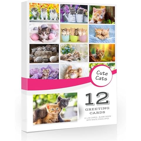12 Pack Cute Cat Greeting Cards Cover