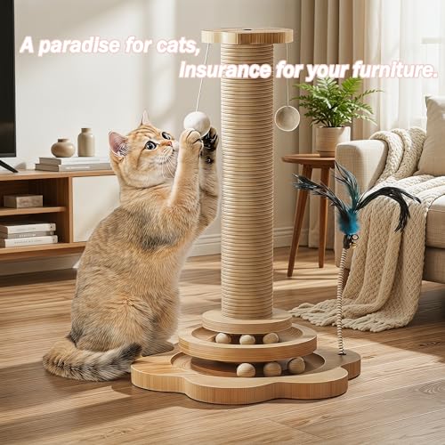 Kitten Starter Kit - 45 Pcs of Cat Essentials - Image 4