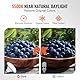VEVOR Softbox Set, 60 x 60 cm, Fotostudio Set mit 30 W 5500 K LED-Birnen, nahezu natürliches Tageslicht, Verstellbarer Stativständer, Studioleuchten für Fotografie, Videoaufnahmen, Live-Streaming