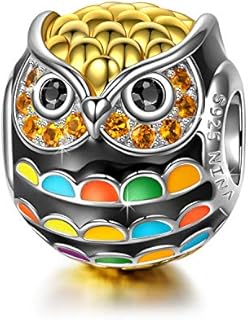 NINAQUEEN Wisdom Owl Charms Fits Charms Bracelets Sterling Silver Bead Birthday Valentines Mothers Day Christmas Gifts for Her Wife Girlfriend Daughter Teen Girls Mom Graduation Animal