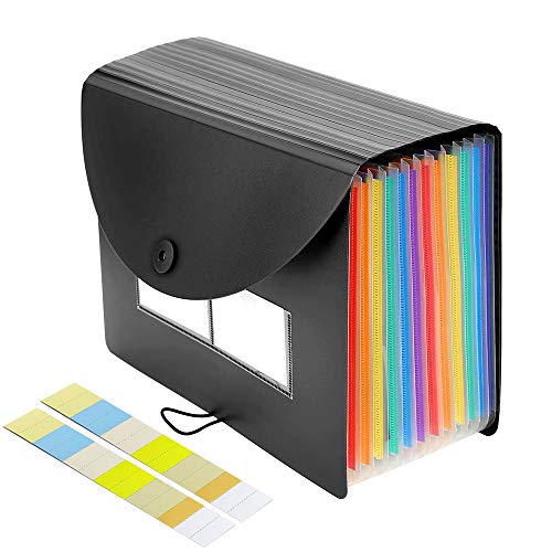 DAMIGRAM Carpetas Plastico A4 Soporte Extensible Portátil Acordeón, Gran Capacidad A4 organizador de archivos ampliable para Office, School, Home (24 Bolsillos con Tapa)