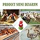 2 Stück Hühner Futterautomat zum Aufhängen, Hühner Zubehör Spielzeug Obstgabel Aus Edelstahl für Huhn mit Häkchen Futterautomat für Hühnergemüsespieß Vogelgemüsespieß