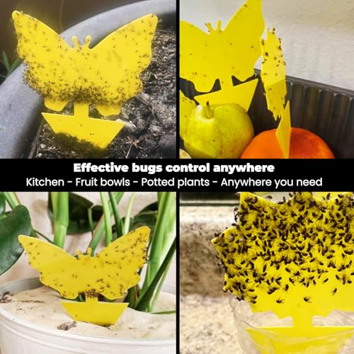 Sticky Insect Traps 40 Pcs