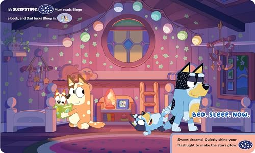 Bluey - Oooh, Shiny! A Bluey Flashlight Toy Adventure Sound Book - PI Kids - image 6