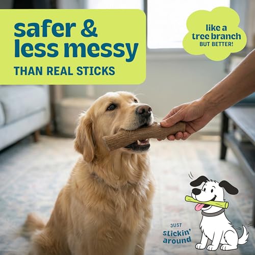 Pupstages Dogwood Dog Chew Toy – Real-Wood Blend, Natural Flavor & Texture, Moderate Chewers, Large, 8.4”