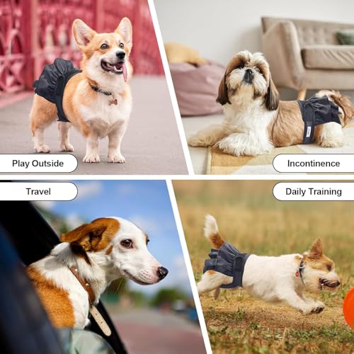 Image of Reusable Dog Diapers Female Large Washable, Premium Doggie Diaper for Dogs, Pack of 3, Highly Absorbent Dog Diaper for Heat, Incontinence and Puppy Training(L)