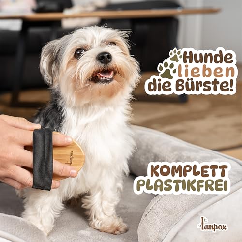 Fellbürste, Hundebürste, Tierbürste, Hundehaarbürste, Premium Bürste für Hund & Katze zur sanften Fellpflege, Striegel für Hunde & Katzenbürste, Hundekamm mit Massage-Effekt, Haustierbürste