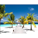 Fototapete Strand Meer Palmen 352 x 250 cm Vlies Tapeten Wandtapete XXL Moderne Wanddeko Wohnzimmer Schlafzimmer Büro Flur Blau Grün Weiss 9035011b