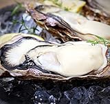 最安!【北海道厚岸産 生牡蠣 殻付き 三年牡蠣 3Lサイズ 30個 (150g~200g/1個) 軍手・カキナイフ付】満天☆青空レストランでご紹介された厚岸の極上殻付き牡蠣!北海道 お取り寄せ ギフト 殻付生かき 真牡蠣 かき 生食用 カキ (30個)