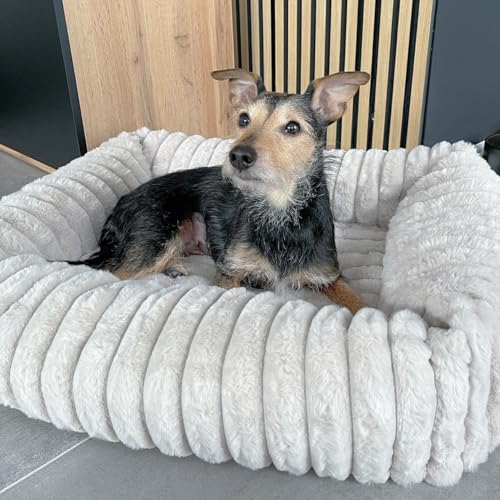 Wallace & Jones | Hundebett Mary - Sand | S | ca. 51 x 46 x 15 cm | weicher Schlafplatz, Breitcord Optik, Hundekörbchen