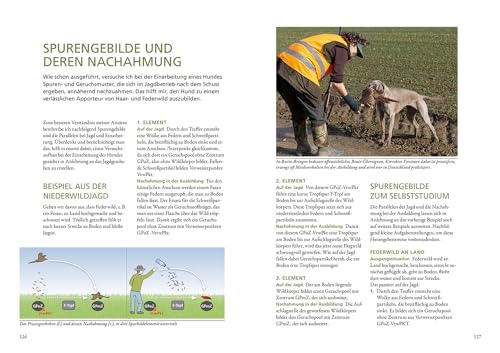 Die Ausbildung des Jagdhundes: Der Leitfaden für die jagdliche Erziehung
