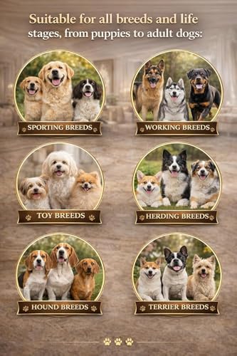 Image of ADB Creations Dog Food Chew Stick Milky Rawhide Calcium Twisted Munchie Treats Nutritional Benefits Strengthen Bones and Teeth for All Breeds Dogs and All Life Stages (200 gram)