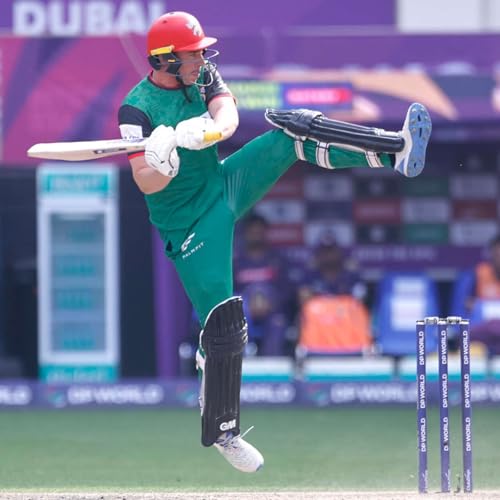 Dan Lawrence on that 'Flamingo shot' and lots more! Podcast Por  arte de portada